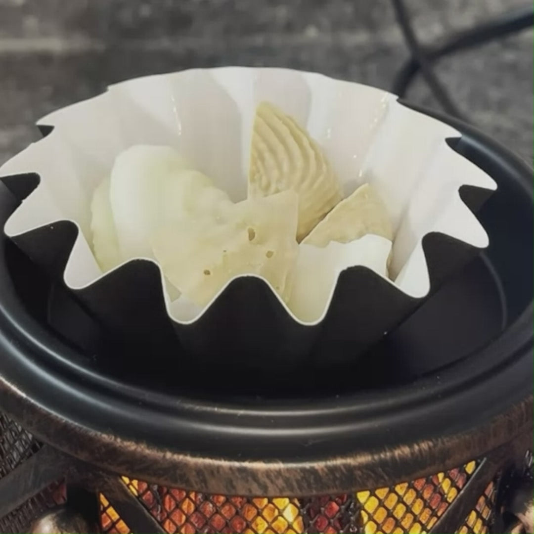 Lucasta Coastal Seashell Wax Melts melting in a wax warmer, releasing fragrance as the seashell shapes slowly dissolve